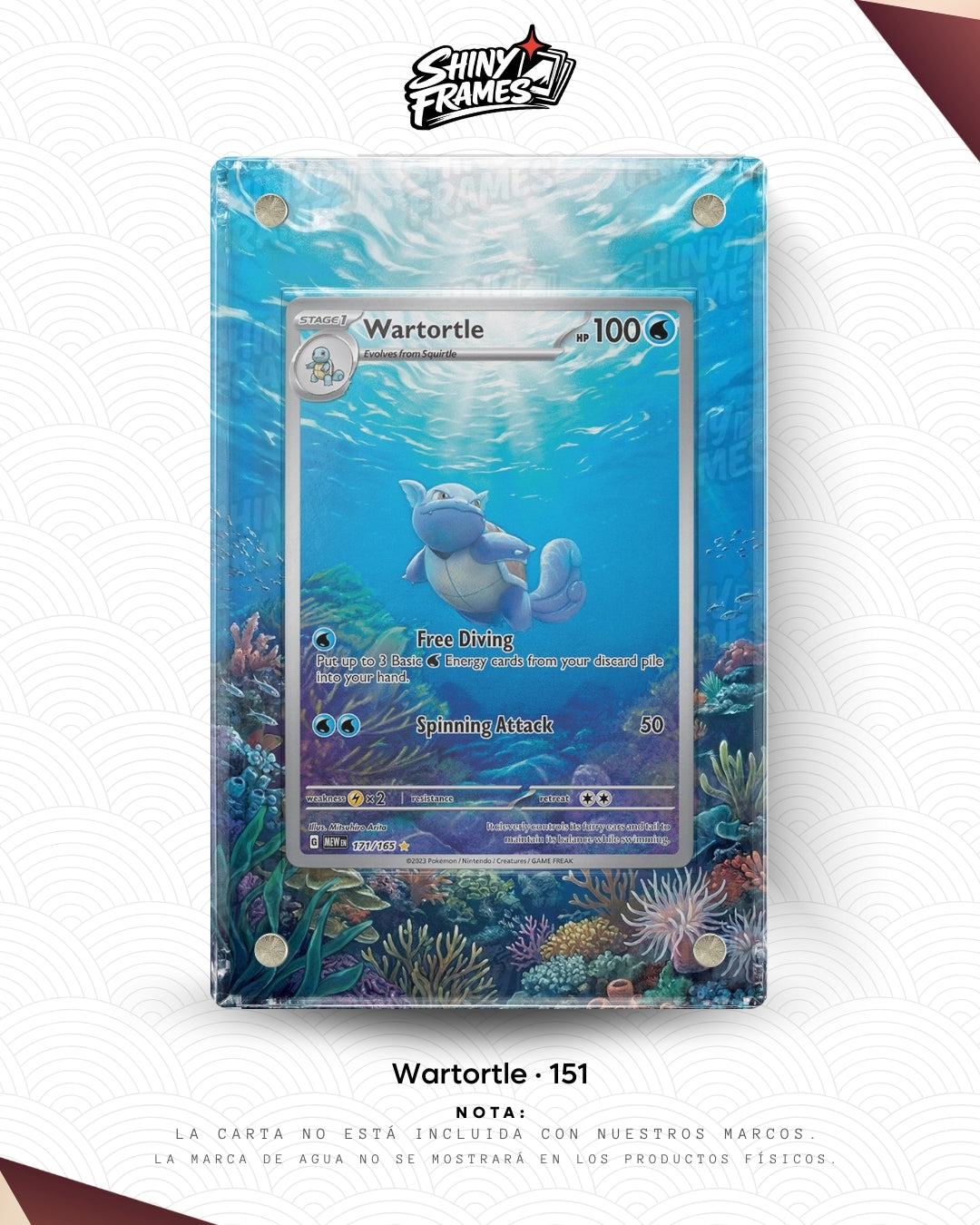 Wartortle · 151 · Extended Art Frame